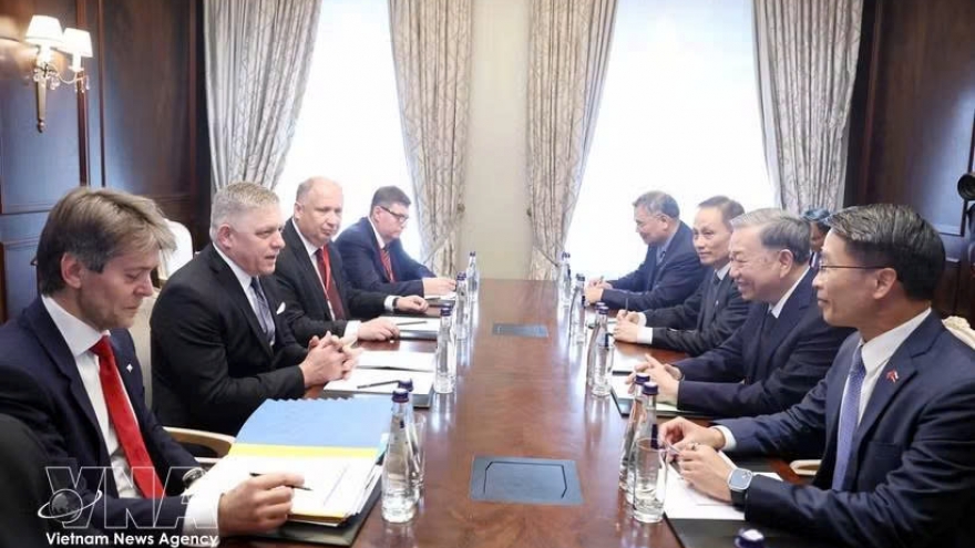 Vietnam, Slovakia look to promote substantive cooperation in bilateral ties